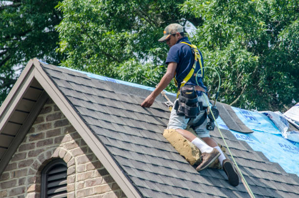 Best New Roof Installation  in Byron Center, MI